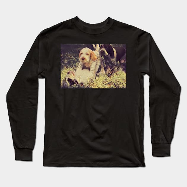 Italian Spinone Puppy Wrestling Long Sleeve T-Shirt by heidiannemorris